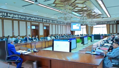 deputy prime minister and foreign minister ishaq dar on friday chairs a meeting of the national economic council ecnec photo x ishaq dar deputy prime minister and foreign minister ishaq dar on friday chairs a meeting of the national economic council ecnec photo x ishaq dar