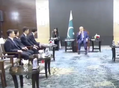 pm shehbaz meets top chinese firms to boost cpec phase ii partnerships pm shehbaz meets top chinese firms to boost cpec phase ii partnerships
