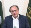 finance minister muhammd aurangzeb speaking in a televised recorded message screengrab
