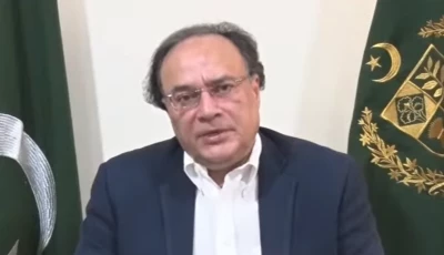 finance minister muhammd aurangzeb speaking in a televised recorded message screengrab