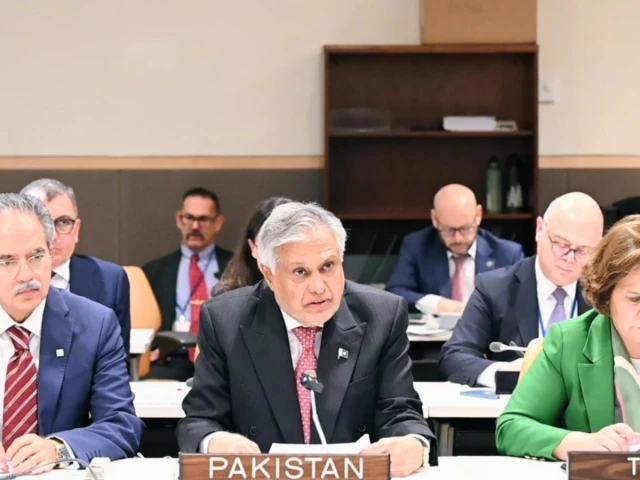 India's unilateral attempt to suspend IWT has introduced 'dangerous dimension': FM Dar