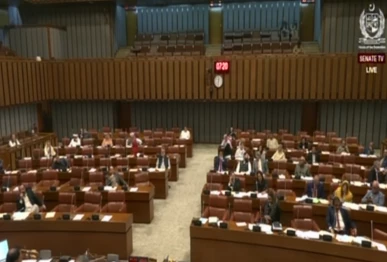 photo senate of pakistan youtube