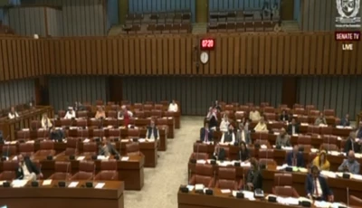 senate panel questions nhmp