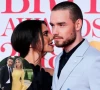 liam payne s 24 million estate revealed after tragic death without a will liam payne s 24 million estate revealed after tragic death without a will
