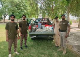 over 125 illegal hunting cases registered in punjab over 125 illegal hunting cases registered in punjab