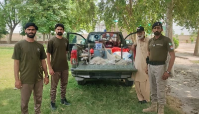 wildlife rangers stand beside a truck carrying confiscated items from poachers photo express