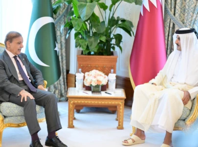 pm shehbaz qatar emir back regional unity