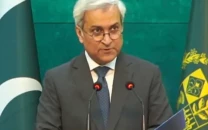 trade with afghanistan only possible once all terrorist safe havens eliminated fo