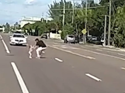 florida dad saves two toddlers who wandered into traffic