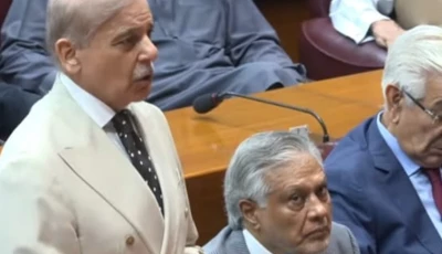 prime minister shehbaz sharif addressing the national assembly screengrab