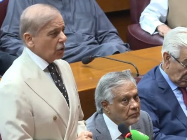 prime minister shehbaz sharif addressing the national assembly screengrab prime minister shehbaz sharif addressing the national assembly screengrab