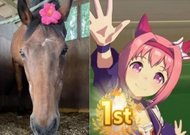 haru urara wins first race over a decade after retirement while umamusume renews interest haru urara wins first race over a decade after retirement while umamusume renews interest