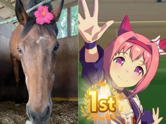 photo umamusume photo umamusume