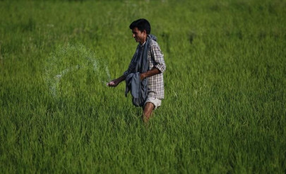 urea sales likely to rise 74