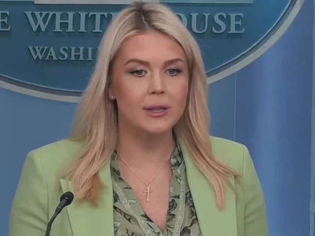 white house press secretary karoline leavitt screengrab white house press secretary karoline leavitt screengrab