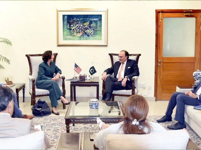 us charg d affaires ms elizabeth horst calls on finance minister aurangzeb in islamabad on july 28 photo radio pakistan