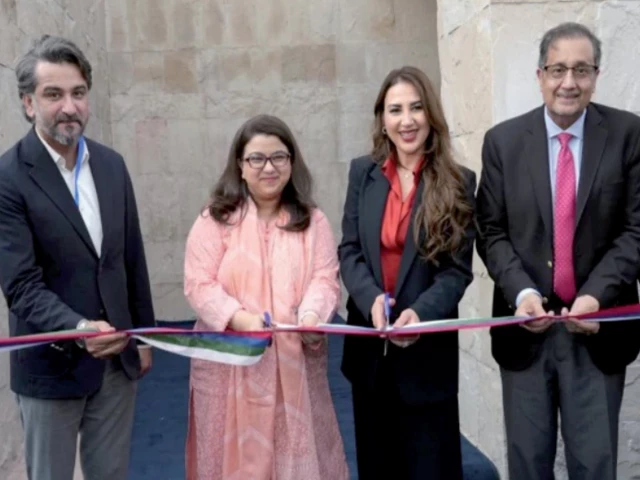 New platform opens US market to startups