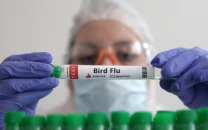 us records second human bird flu death of year us records second human bird flu death of year