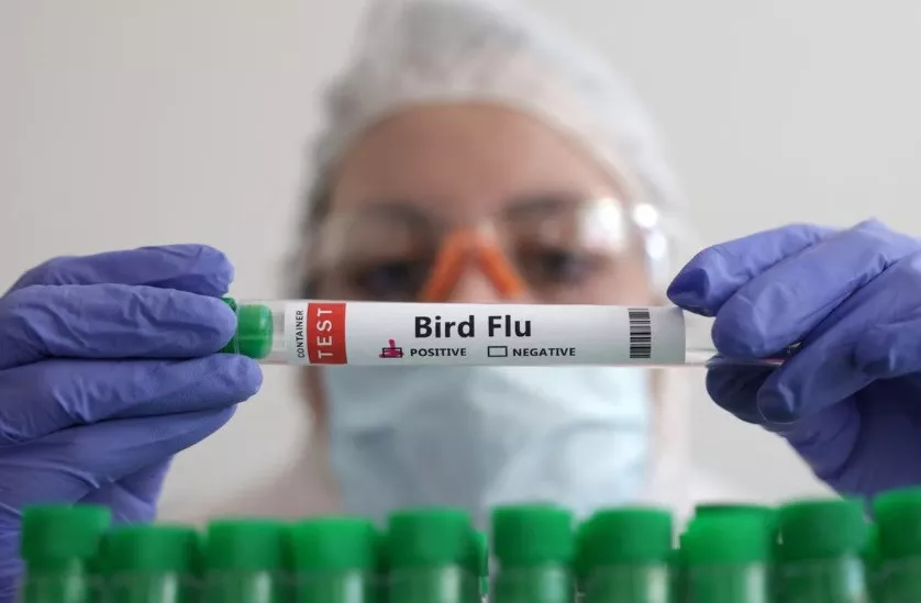 a person holds a test tube labelled bird flu in this picture illustration january 14 2023 reuters dado ruvic illustration file photo a person holds a test tube labelled bird flu in this picture illustration january 14 2023 reuters dado ruvic illustration file photo