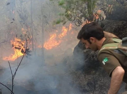 swat valley losing forest cover due to intentional fires