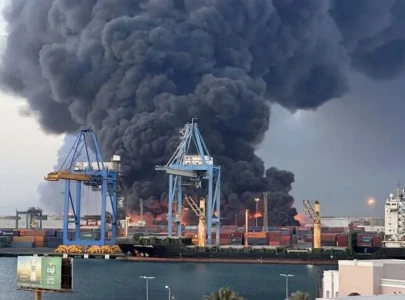 egypt confirms drone caused fire on two gas vessels at damietta egypt confirms drone caused fire on two gas vessels at damietta