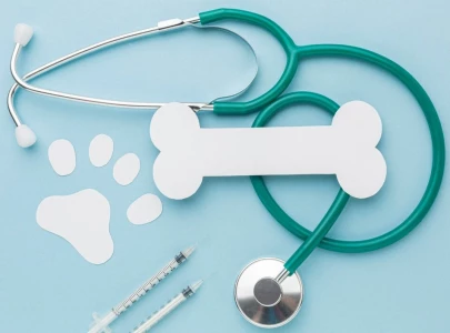 veterinary hospital in buchiana falls into ruins