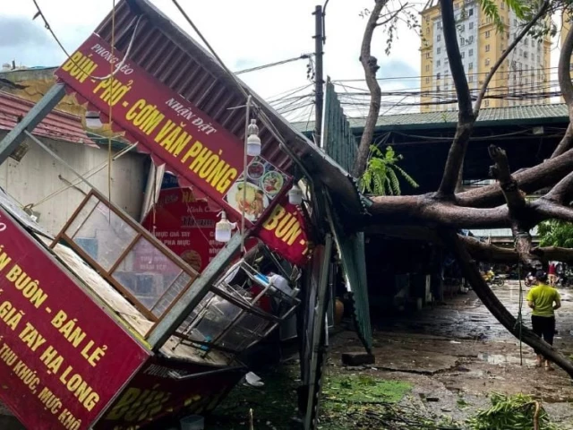 a man walks past a devastated area following the impact of typhoon yagi in hanoi vietnam september 8 2024 photo reuters a man walks past a devastated area following the impact of typhoon yagi in hanoi vietnam september 8 2024 photo reuters
