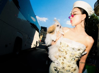 shih tzu sissi steals spotlight as paris couture week s tiniest front row star shih tzu sissi steals spotlight as paris couture week s tiniest front row star