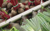 beetroot a less explored commodity