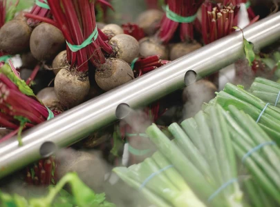 beetroot a less explored commodity