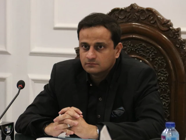karachi mayor murtaza wahab photo file