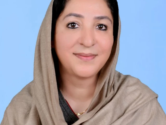 minister of state for federal education and professional training wajiha qamar photo file minister of state for federal education and professional training wajiha qamar photo file