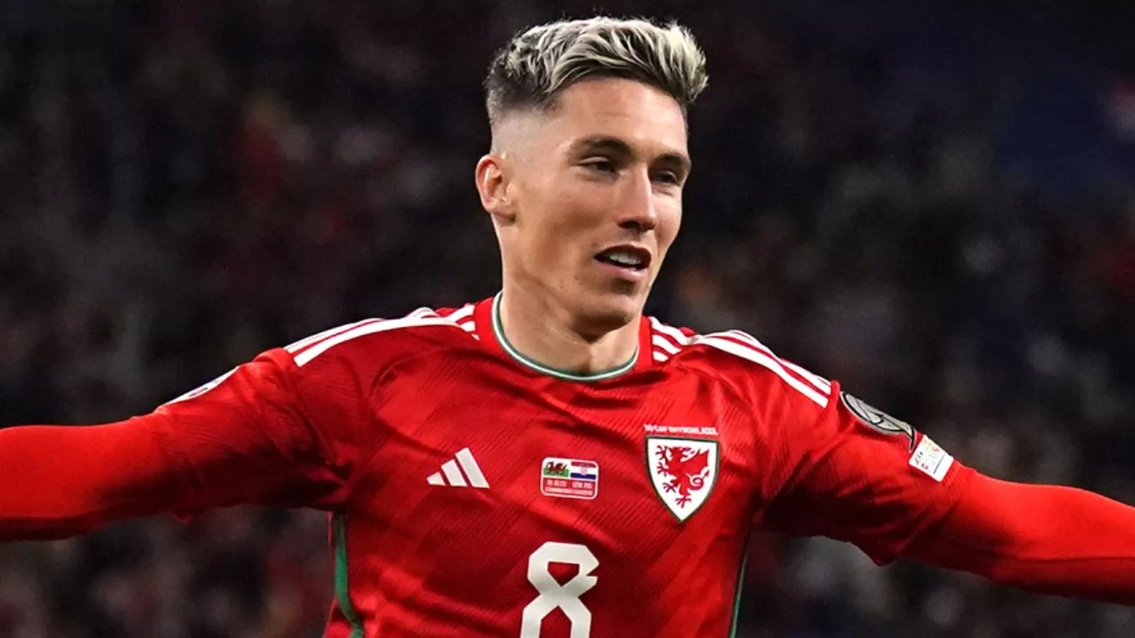 wales euro berth in our own hands wales euro berth in our own hands