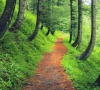 abbottabad to revive hiking trails abbottabad to revive hiking trails