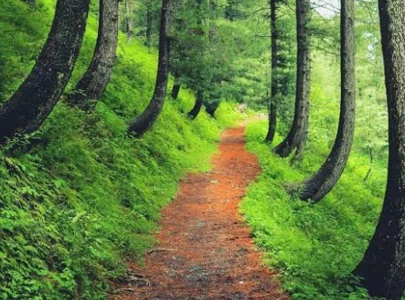 abbottabad to revive hiking trails abbottabad to revive hiking trails