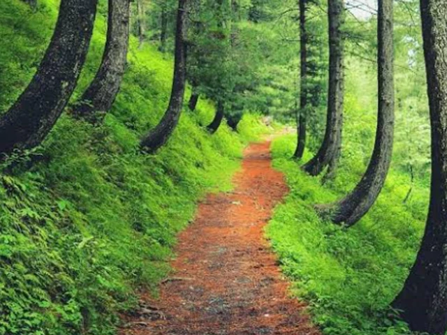 abbottabad to revive hiking trails abbottabad to revive hiking trails