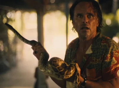 walton goggins shared he was bitten by a snake on the white lotus set had to go to hospital walton goggins shared he was bitten by a snake on the white lotus set had to go to hospital