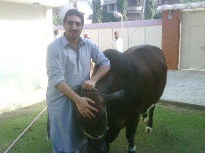 killing of businessman s son has site up in arms