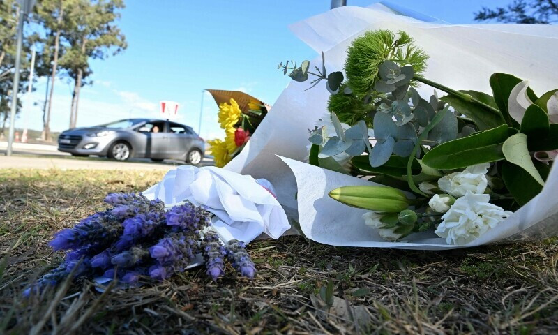 flowers are left by the road some 500 meters from the site of a bus crash where 10 people from a wedding party were killed in cessnock in australia s hunter wine region north of sydney on june 12 photo afp