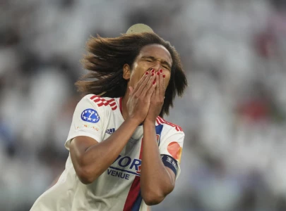 french renard eyes something great