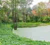 govt plans 400 floating wetland ponds for water conservation govt plans 400 floating wetland ponds for water conservation
