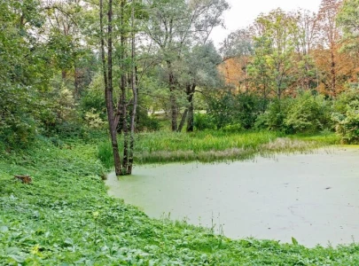 govt plans 400 floating wetland ponds for water conservation govt plans 400 floating wetland ponds for water conservation