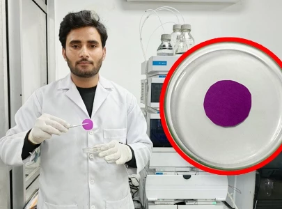 pakistani scientists develop low cost java plum sensor to detect spoiled milk pakistani scientists develop low cost java plum sensor to detect spoiled milk