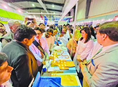 district south excels in steam 2025 district south excels in steam 2025