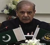 prime minister shehbaz sharif addressing a meeting on law and order situation in quetta balochistan on march 13 2025 screengrab