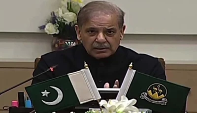 prime minister shehbaz sharif addressing a meeting on law and order situation in quetta balochistan on march 13 2025 screengrab