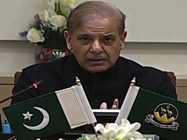 prime minister shehbaz sharif addressing a meeting on law and order situation in quetta balochistan on march 13 2025 screengrab prime minister shehbaz sharif addressing a meeting on law and order situation in quetta balochistan on march 13 2025 screengrab
