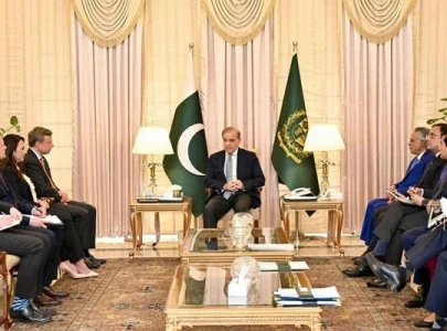 us eyes pakistan s mineral wealth for strategic gains says senior state dept official