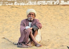 wrapped in forgotten nobility