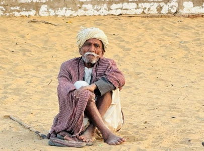 wrapped in forgotten nobility